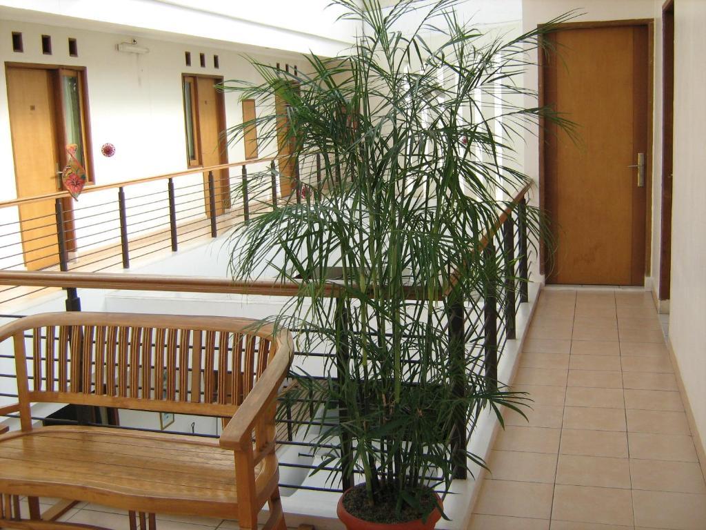 The Cherry Homes And Hotel 2*
