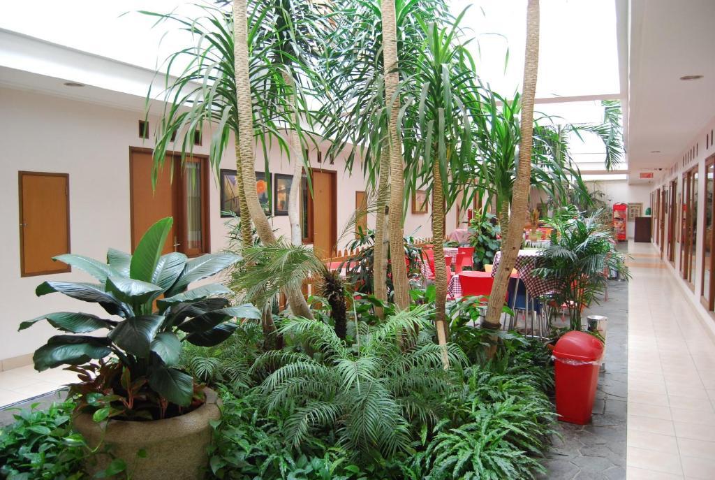 The Cherry Homes And Hotel 2*